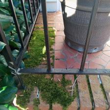 Heavy-Moss-House-Washing-in-Greer-South-Carolina 0